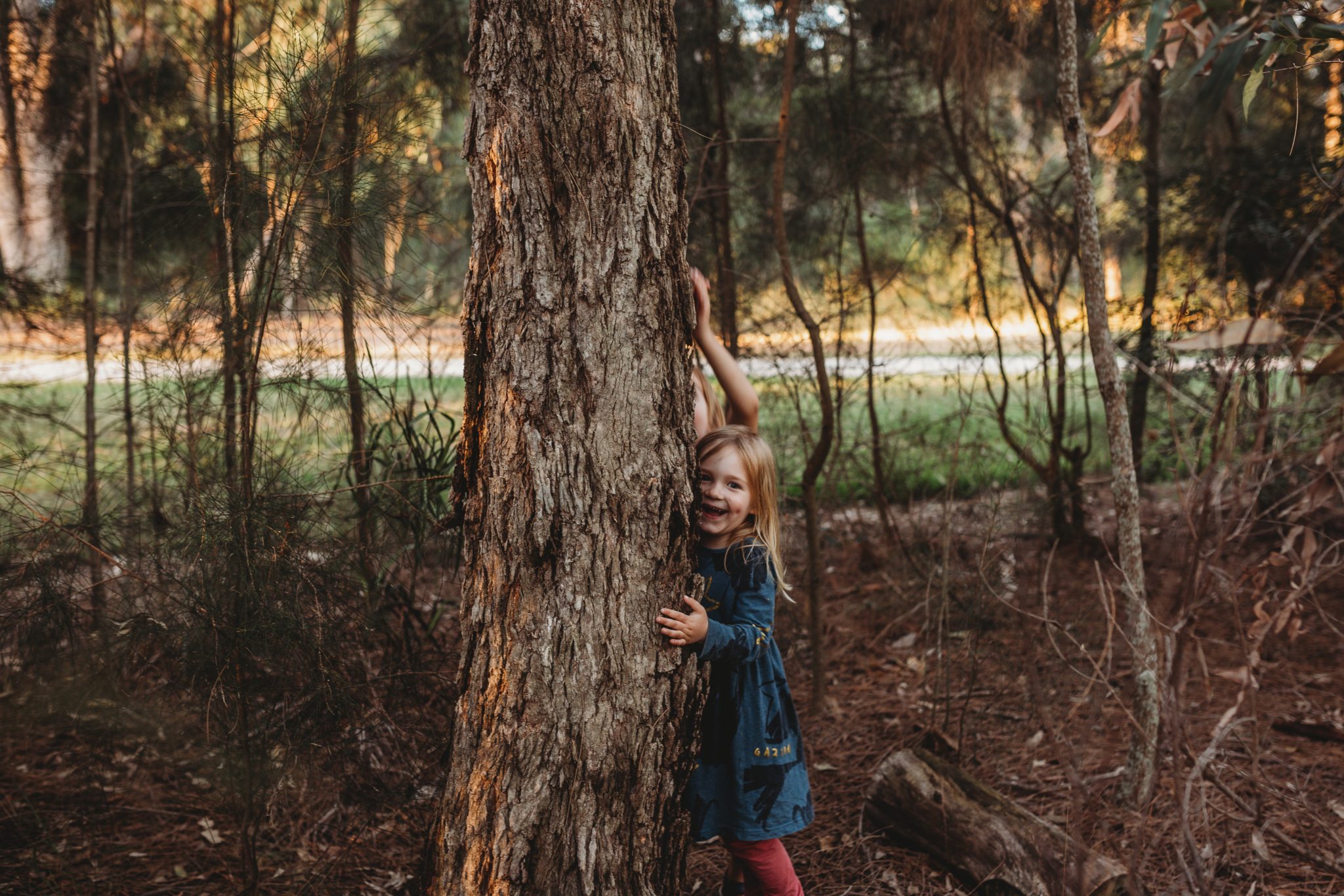 Young girl smiles while peeking out from behind a tree during family photo session at Croudace Bay park