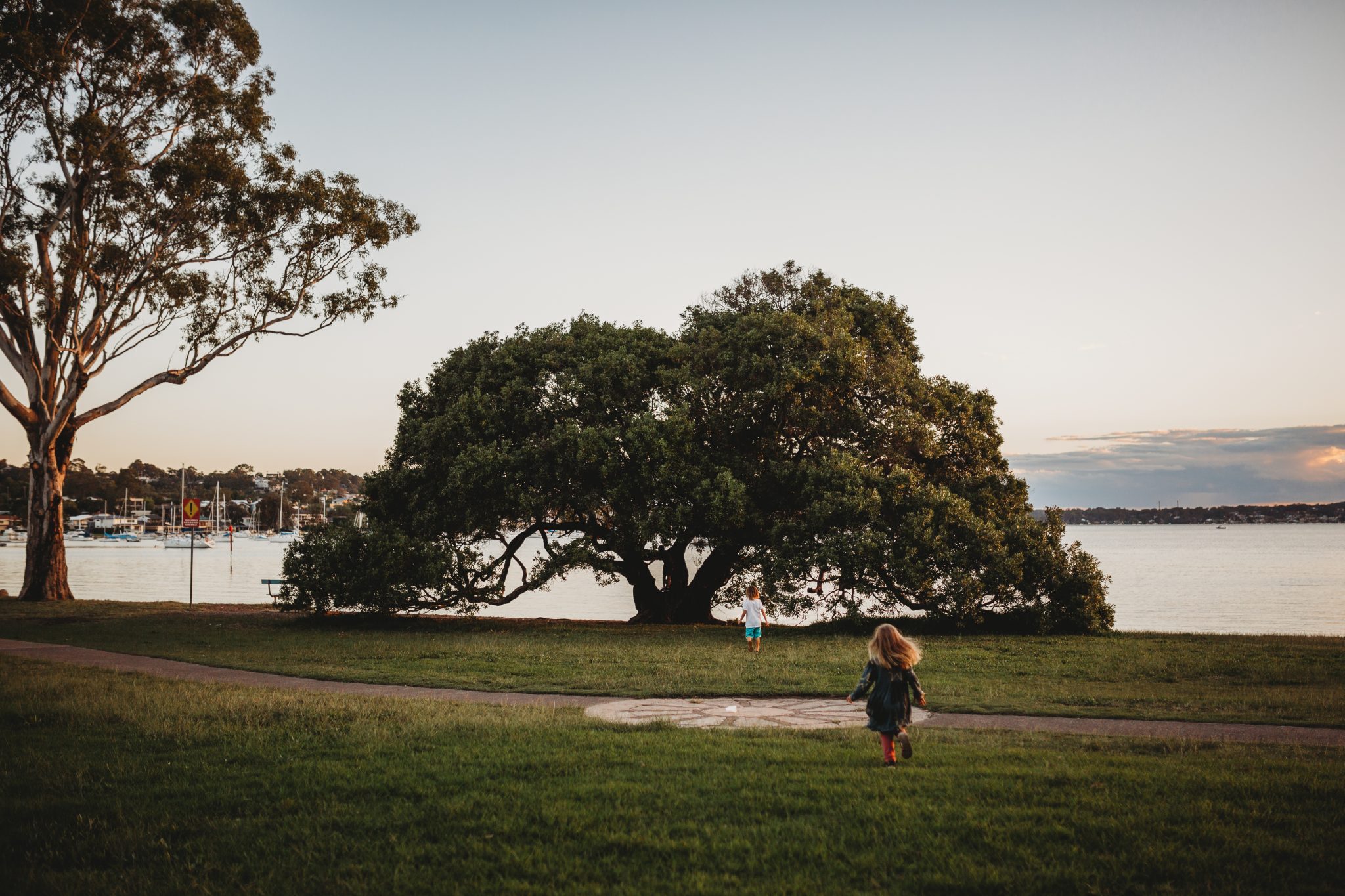 Young girl running towards a tree on the edge of Lake Macquarie