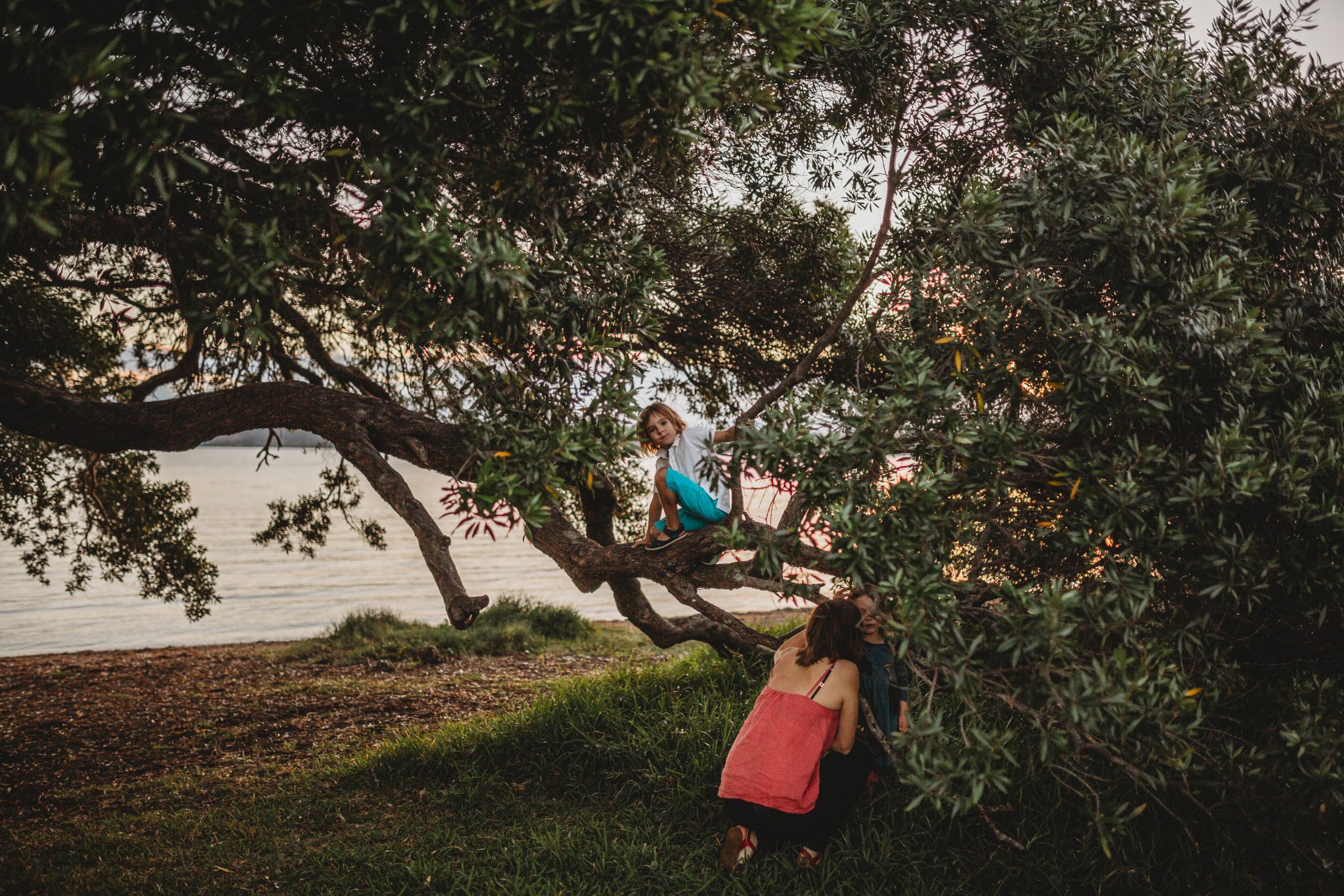 Young boy climbing tree by the lake as his mother watches