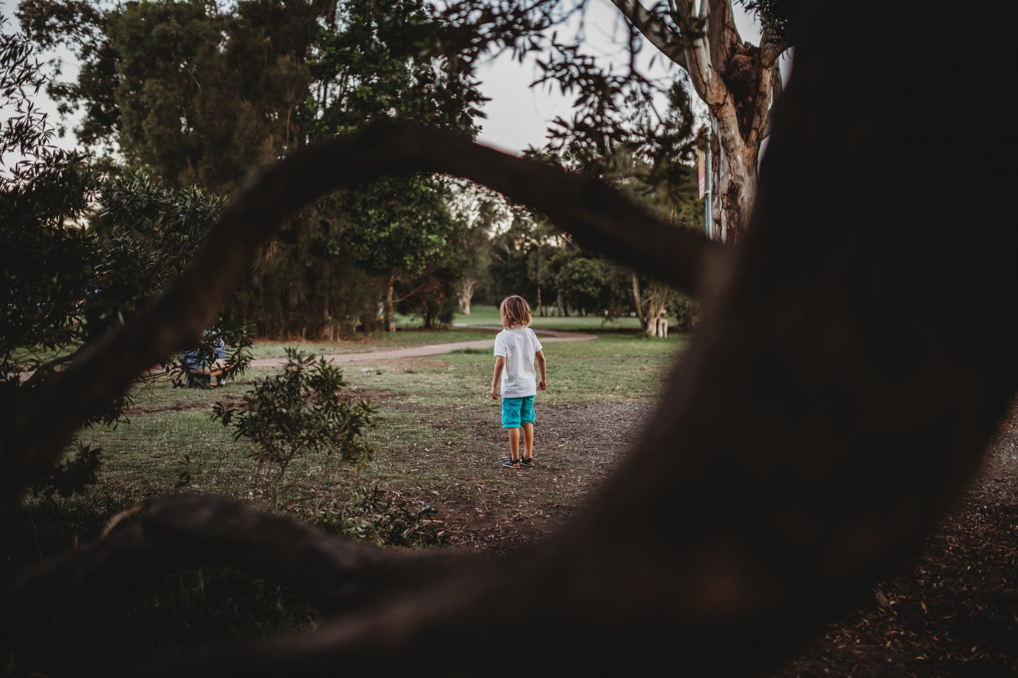 Young boy facing away while framed by tree branches