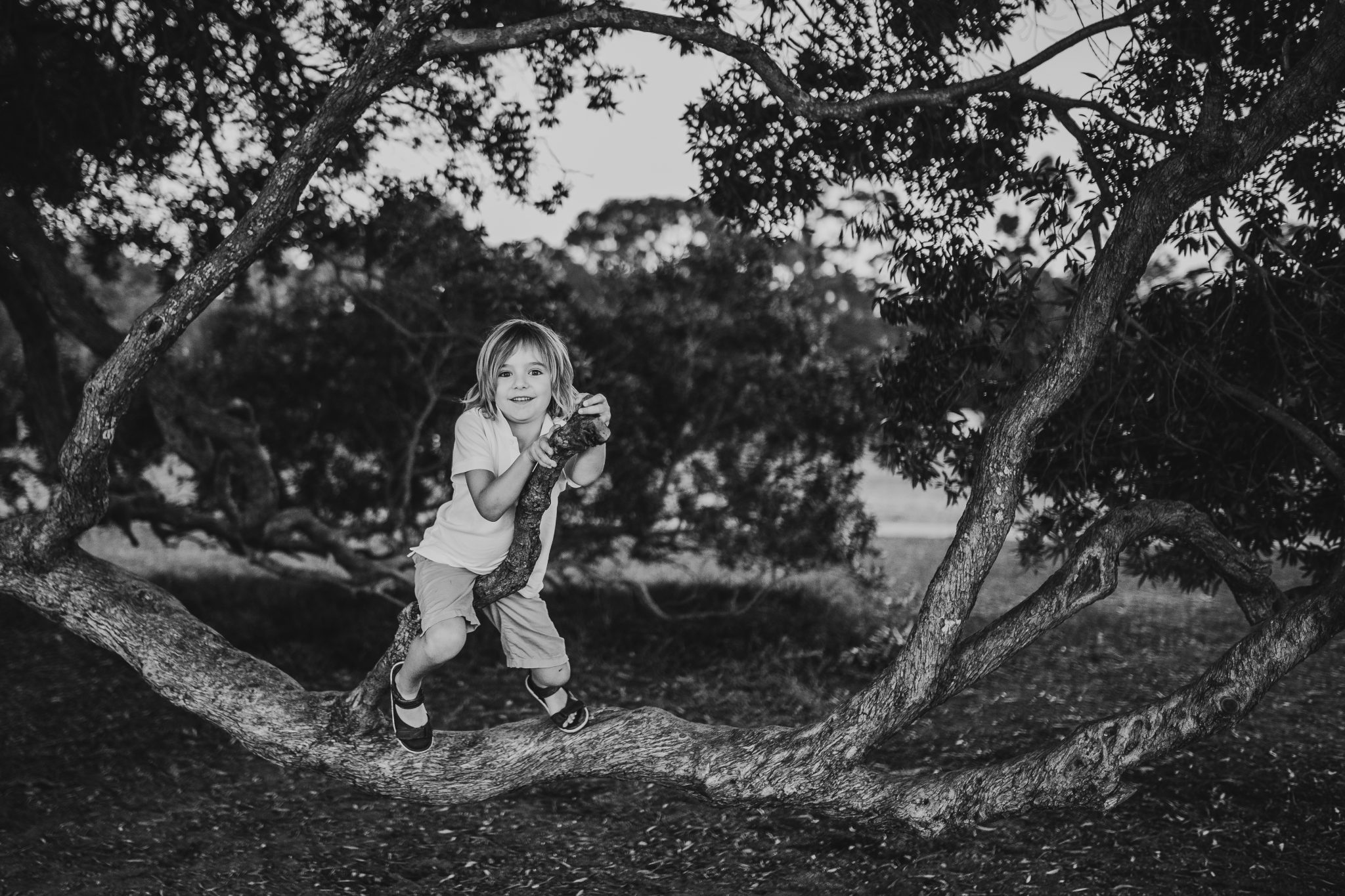 Black and white image of young boy straddling overhanging tree branch