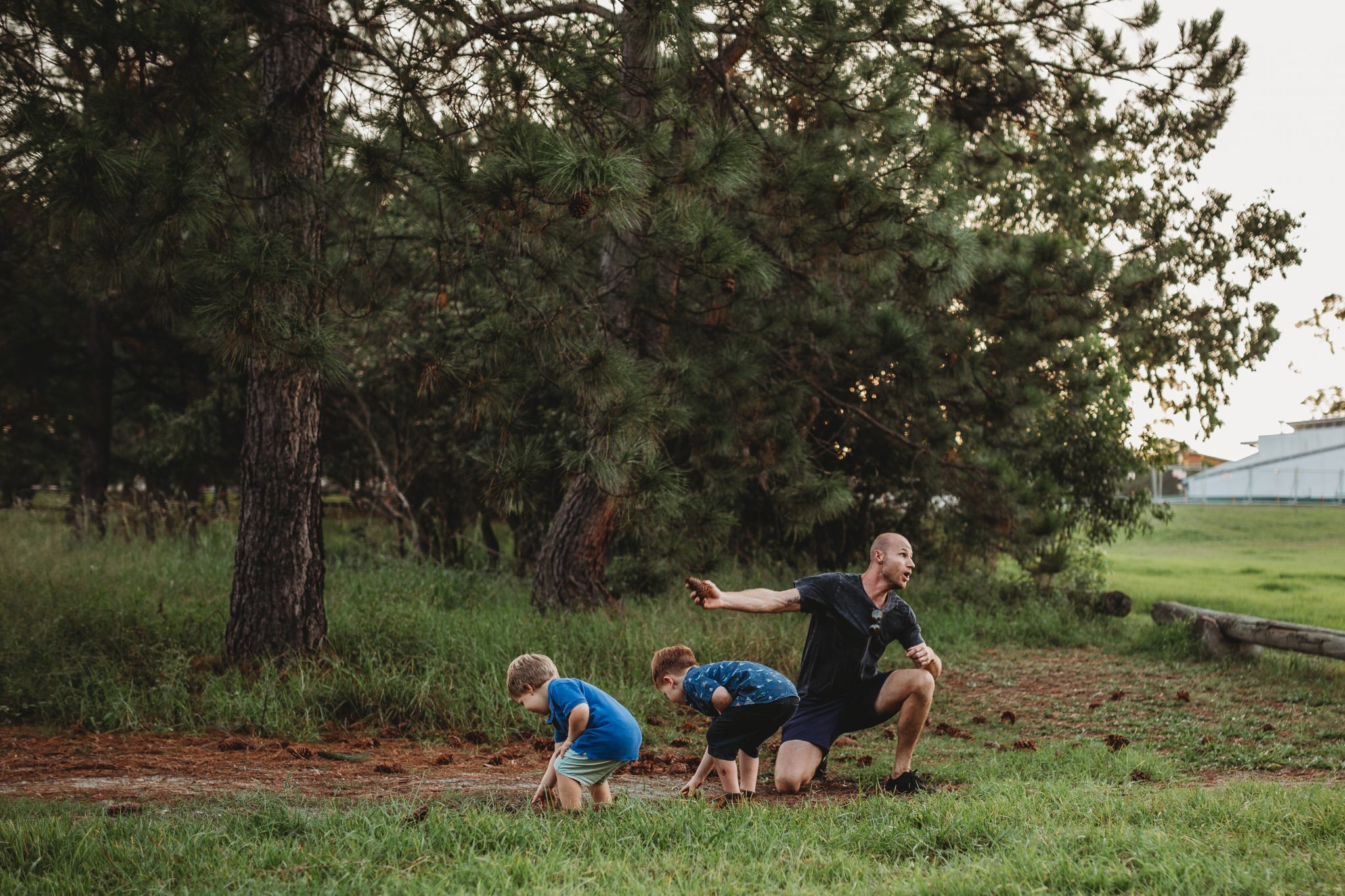 Boys playing with their father, throwing pinecones as pretend grenades